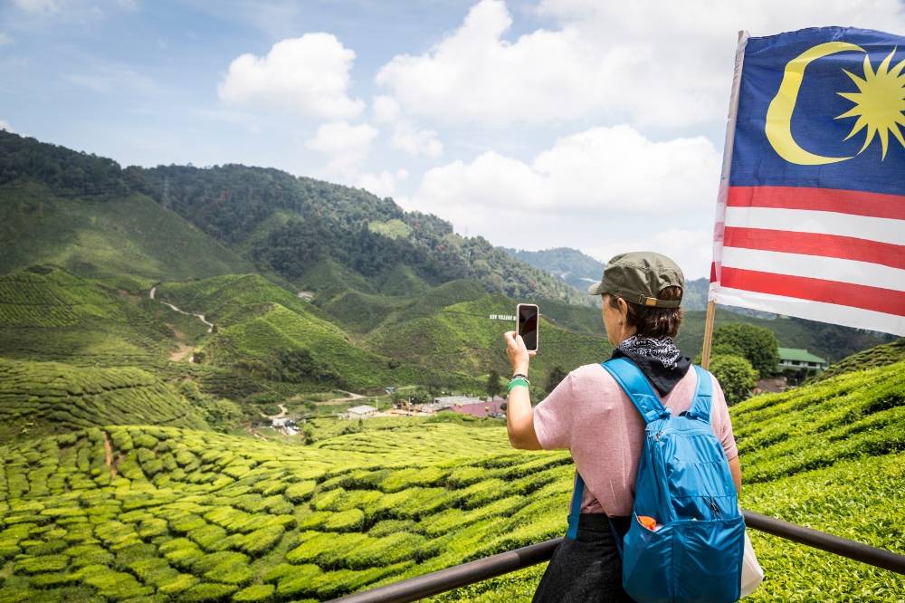 Cameron Highlands. Photo: Edited via Canva