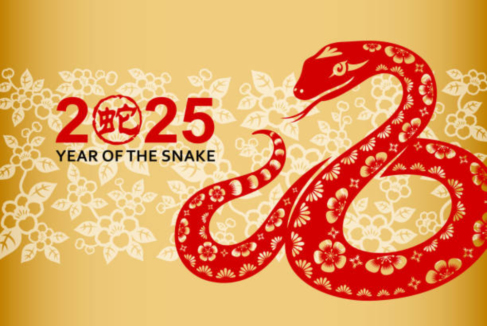 As the world enters a transformative era marked by new global orders and the ninth grand Feng Shui cycle, 2025, the Year of the Snake, promises both challenges and opportunities.
Photo source : Free stock images