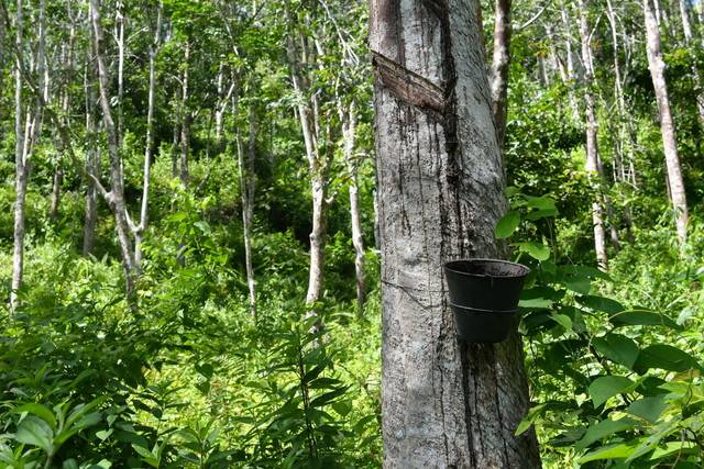 Photo for illustration purposes only. - BERNAMA FILE PIX