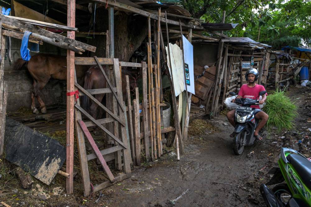 Photo for illustration purpose only. (Photo by BAY ISMOYO / AFP)