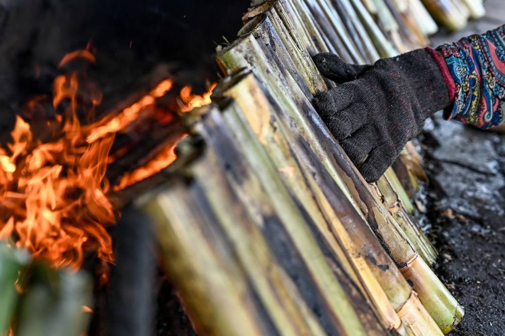 ‘Lemang Kijal’ is widely popular among locals and those from as far as Kuala Lumpur and Pahang. Photo by Bernama