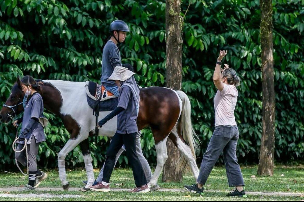 Photo by Happy Farms Hippotherapy Malaysia on Facebook.