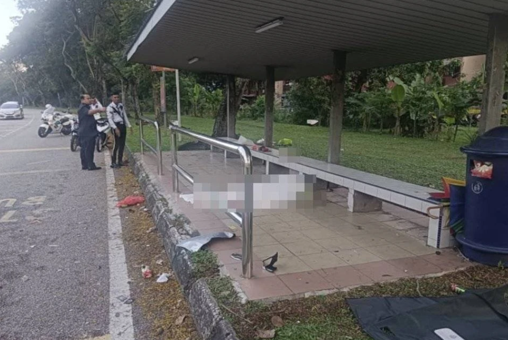 Those with information to contact Insp Muhammad Najib Abdul Rahman at 019-7757354 to assist investigations. - Photo courtesy of PDRM