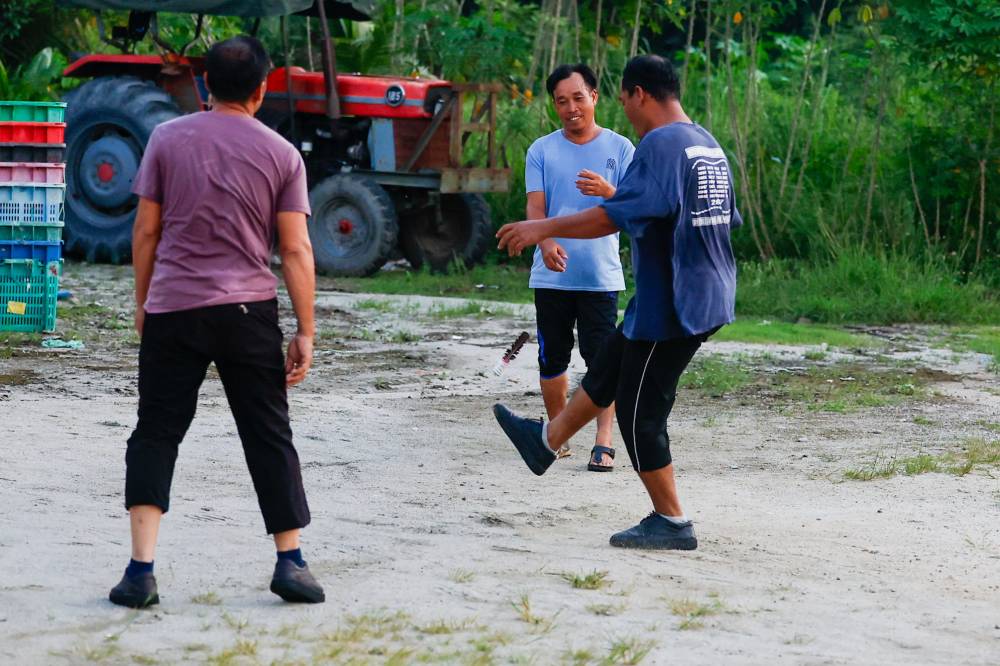 A group of youths in the Ayer Kuning constituency showcase their skills in playing the traditional game of sepak bulu ayam, which is gradually fading from the memory of the younger generation. Photo by Bernama