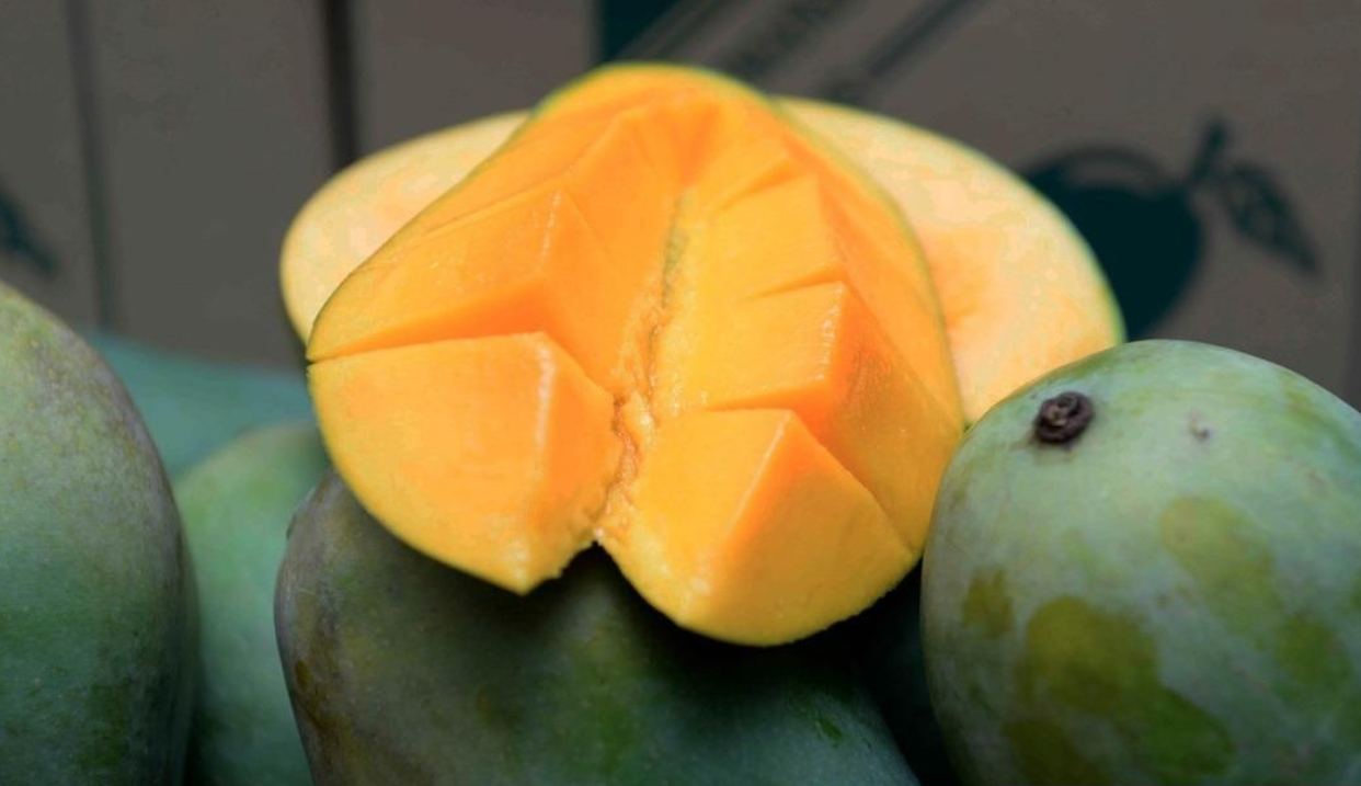 The 46-year-old female victim came across an appealing advertisement for Harumanis mangoes on social media. Photo for illustrative purposes only. Bernama FILE PIX