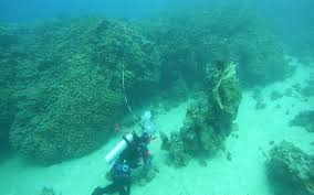 Photo credit: Red Sea Global