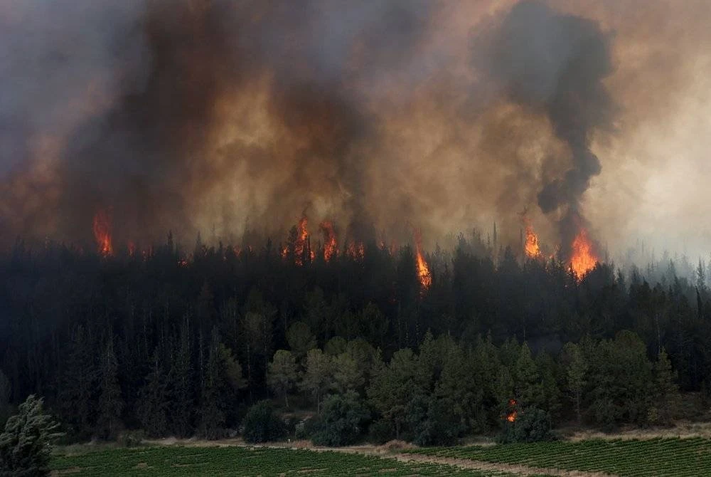 The raging forest fire near Jerusalem has forced Israel to declare a state of emergency and request international assistance. - Xinhua