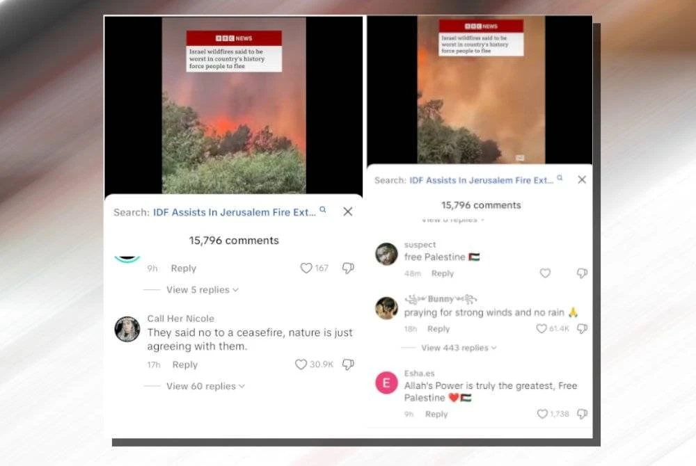 Screenshots of netizens commenting on the incident