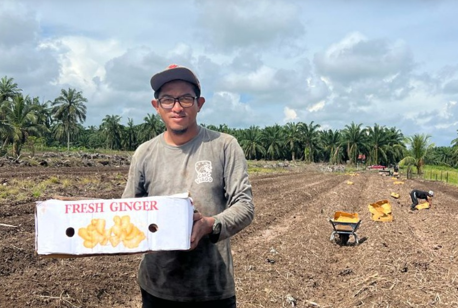 Born and bred in Sungai Besar, Selangor, Khairul Azwan began with crops like bitter gourd, okra, bottle gourd, ridge gourd, water spinach, spinach, eggplant, and chilly. - Photo by Bernama