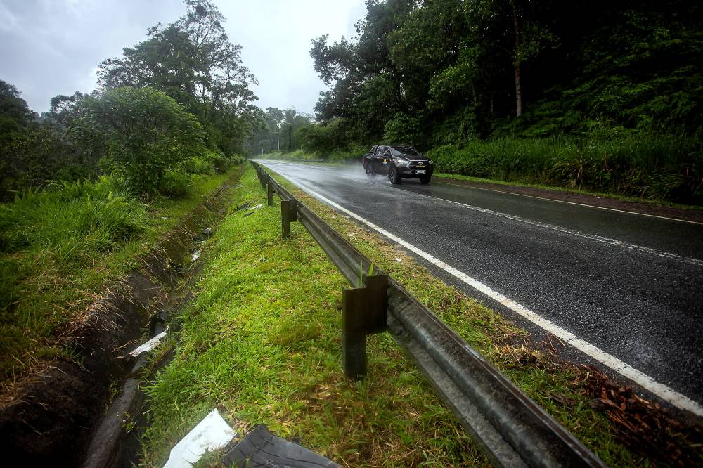 A check at the scene where a baby elephant was killed after being hit by a container lorry on the Gerik-Jeli stretch of the East-West Highway, last Sunday. - Photo by Bernama