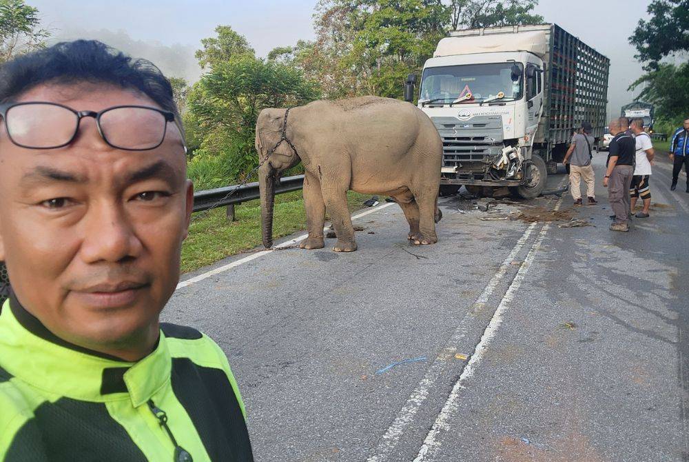 Amir, 47, is a member of the Sungai Petani Response Team volunteer squad that assisted authorities in relocating the grieving elephant. Photo: Mohd Amir Faizal's Facebook