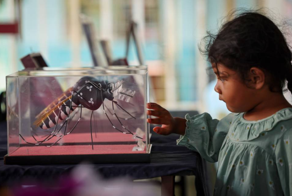 Photo for illustration purpose only. - File photo by Bernama