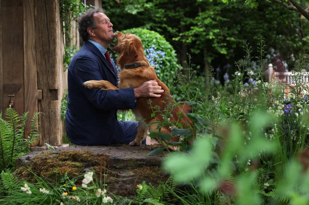 Gardener Monty Don poses with his dog Ned, a Golden Retriever, in his dog-friendly garden on May 19, 2025. Photo by Adrian Dennis/AFP