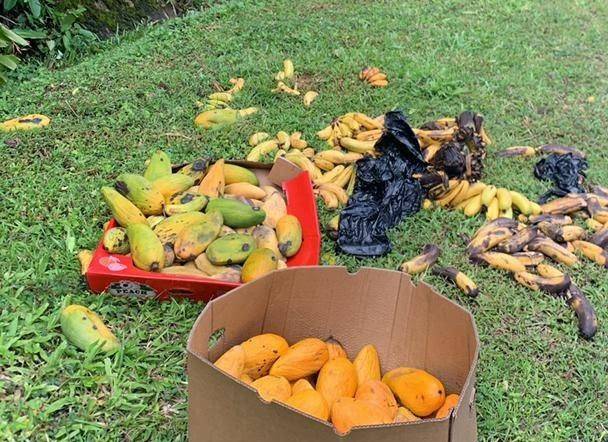 Several piles of fruit left at various locations along the highway. Photo: Mohd Amir Faizal's Facebook