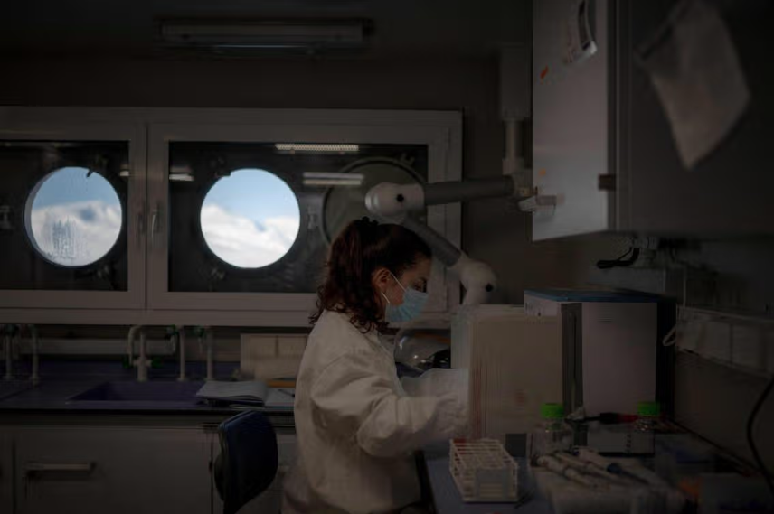 Belgian toxicologist Laura Pirard works on biopsy samples of polar bear adipose tissue in a laboratory onboard the science icebreaker vessel Kronprins Haakon in the Svalbard archipelago. - AFP photo