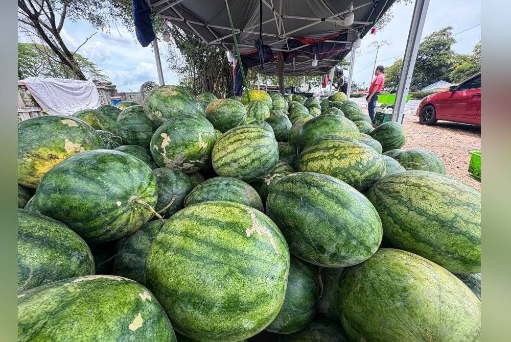 To ensure uninterrupted supply, a vendor procures watermelon from Johor, Perak and several other states since the harvest in Kelantan has been depleted.