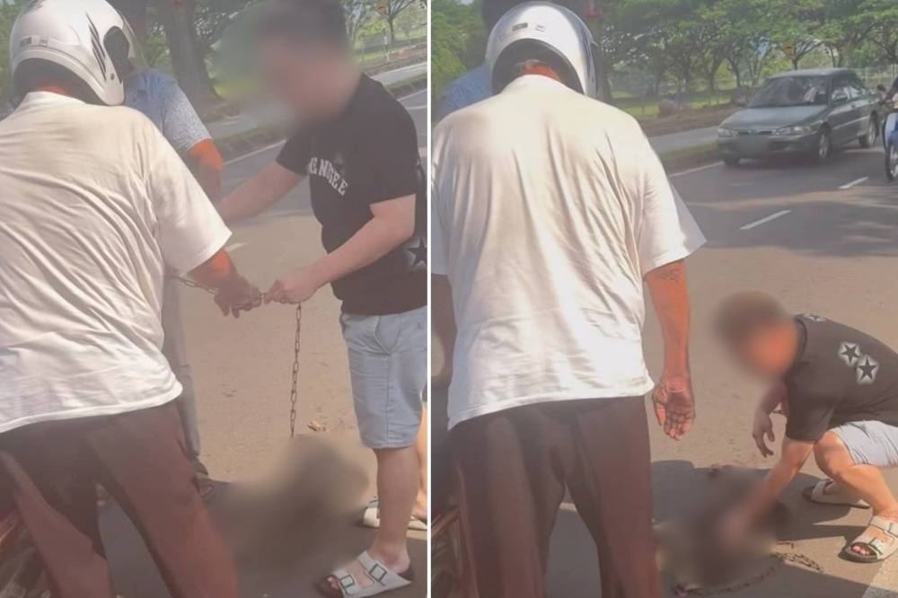 Screenshots from a video of the incident. - Photo: FACEBOOK