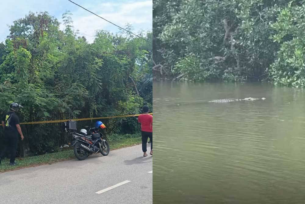 A photo allegedly showing a crocodile sighting at the Taman Sutera Wangi lake in Batu Berendam went viral last week.