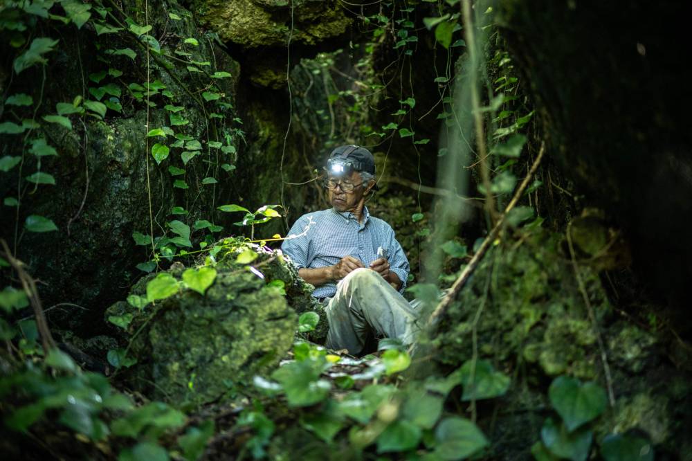 This photo taken on June 11, 2025 shows Takamatsu Gushiken, a volunteer who recovers the remains of war dead to be reunited with their families, searching for those who died in the Battle of Okinawa during World War II, at a forest in Itoman, Okinawa Prefecture. (Photo by Philip FONG / AFP)