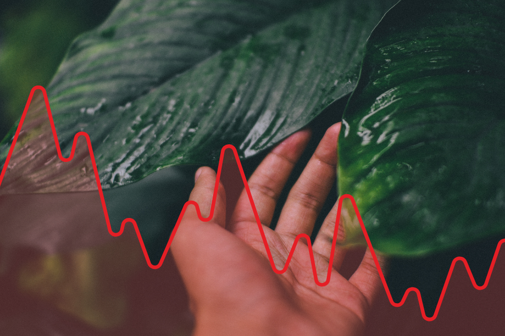 Illustrative image by Sinar Daily