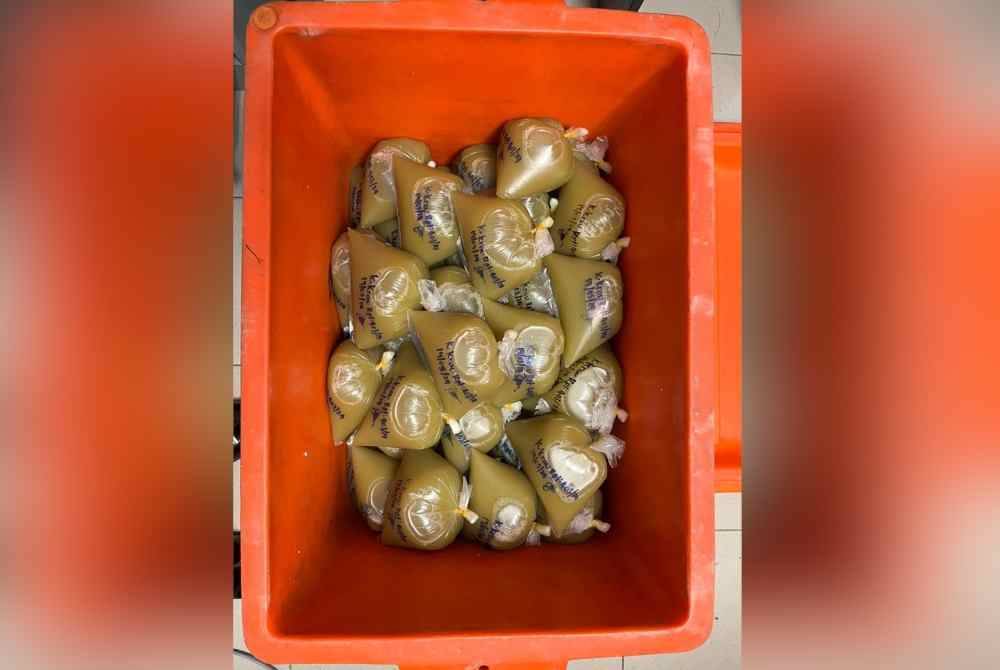 The same action could also be taken against users of other illicit substances, such as ecstasy, even if the user does not show signs of addiction. 