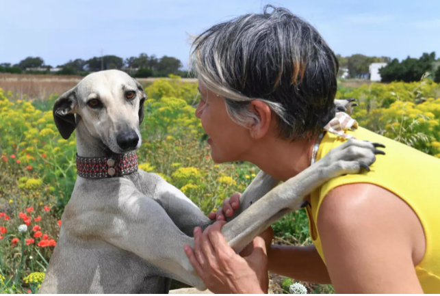 Tunisia veterenarian and dog owner Olfa Abid says the Sloughis are 'part of our heritage, our history'. - Photo by FETHI BELAID / AFP