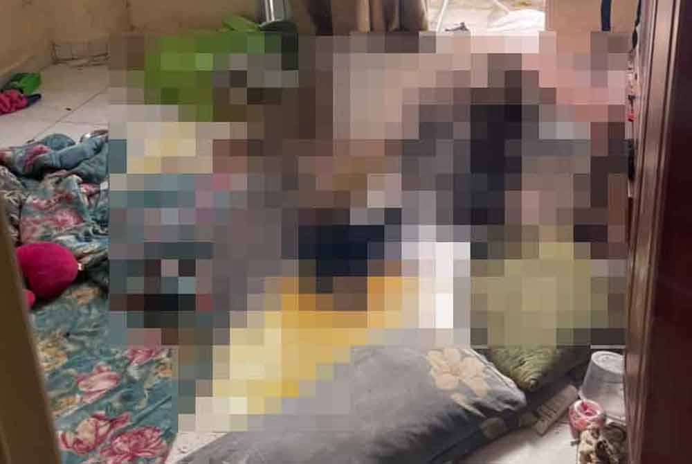 Police confirmed that a woman and her daughter who were found dead in an apartment on Jalan Bukit Gambir here on Monday, have been lifeless for more than a week.