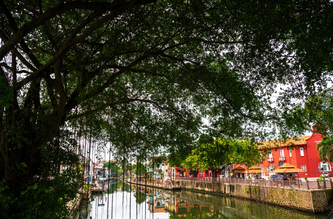 Photo for illustrative purposes only. (Canva) 