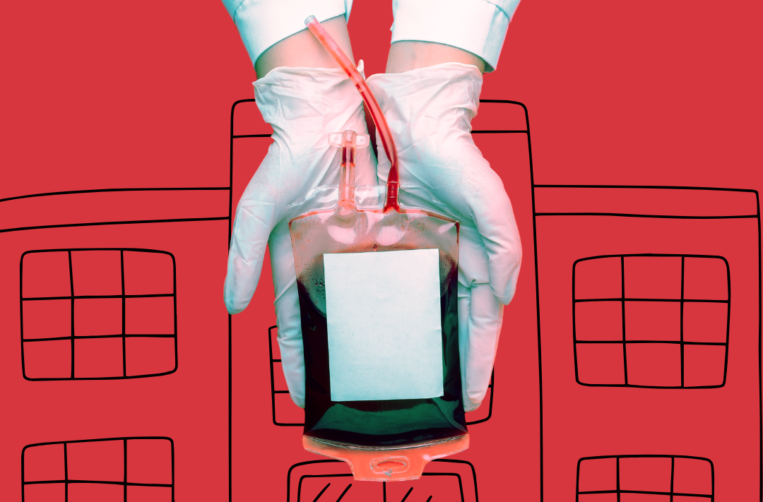 Whether it is for surgeries, trauma cases, cancer treatments or everyday accidents, the presence (or absence) of blood can change the course of a patient's fate. Photo: Canva 