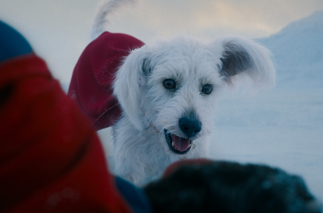 Photo by Warner Bros. 