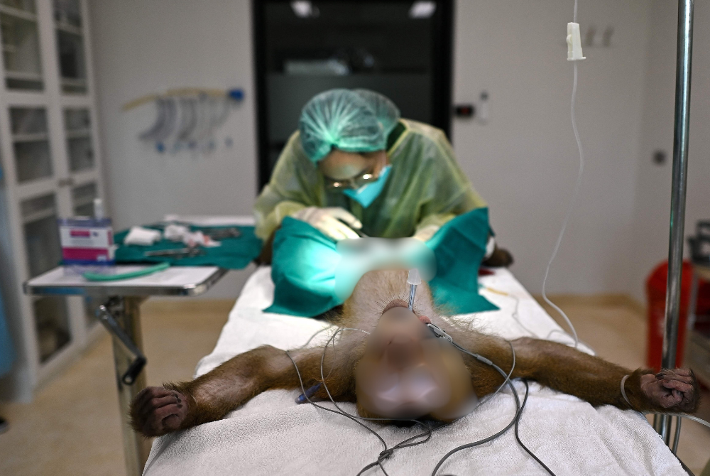 This photograph taken on July 9, 2025 shows 