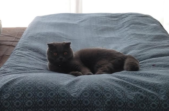 Luna. Photo: Instagram/Awal Ashaari