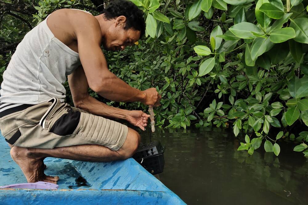Adino at one of the site to cultivate the crabs through sustainable containers.