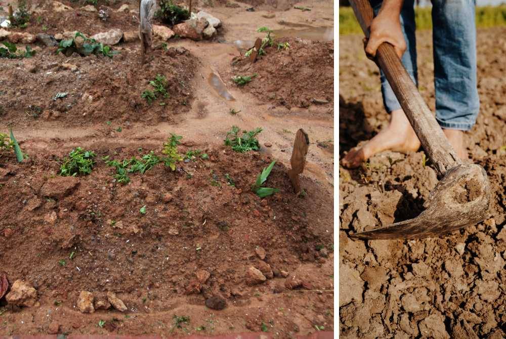 In principle, the ruling on exhuming a grave to remove a body is prohibited as it is
considered to dishonour the deceased, but it can change if there is an unavoidable
emergency or pressing need. – Stock image