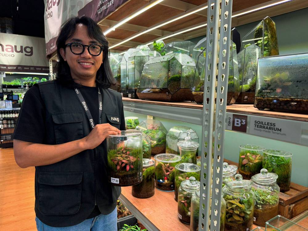 Amirul with the materials combined to create a terrarium, when he was met by Bernama at Southkey Johor Bahru recently. - Bernama photo