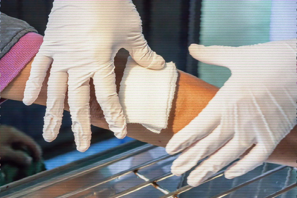 Photo for illustrative purposes only. Photo: Canva.