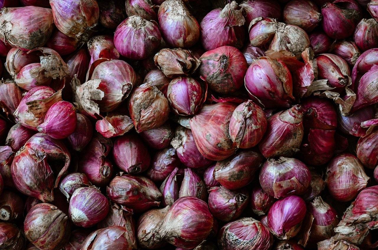The Agriculture and Food Security Ministry (KPKM) is optimistic that Kelantan has the potential to become a major producer of local onions next year. Photo for illustrative purposes only - Pixabay
