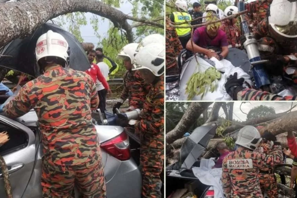 Firefighters used specialised equipment, including a chainsaw, to cut through the branches and trunk that had fallen on the car. - Photo courtesy of JBPM