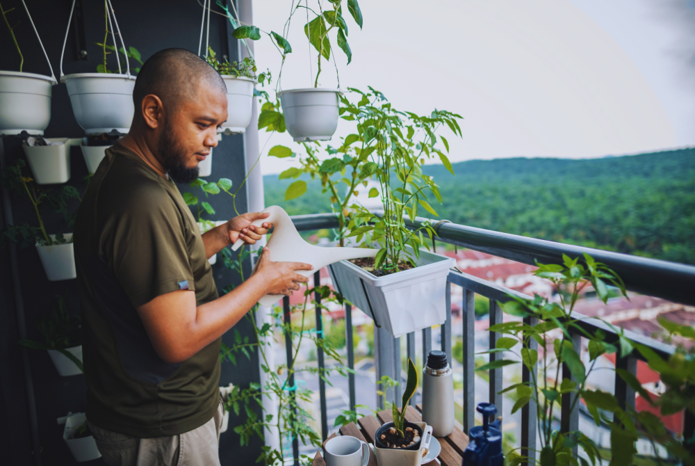 Photo illustrated by Sinar Daily