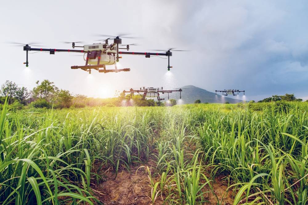 Agriculture in Malaysia is evolving with drones and AI, but with an ageing population, the pressing question is who will carry on to secure the nation’s rice supply. Photo: Edited via Canva