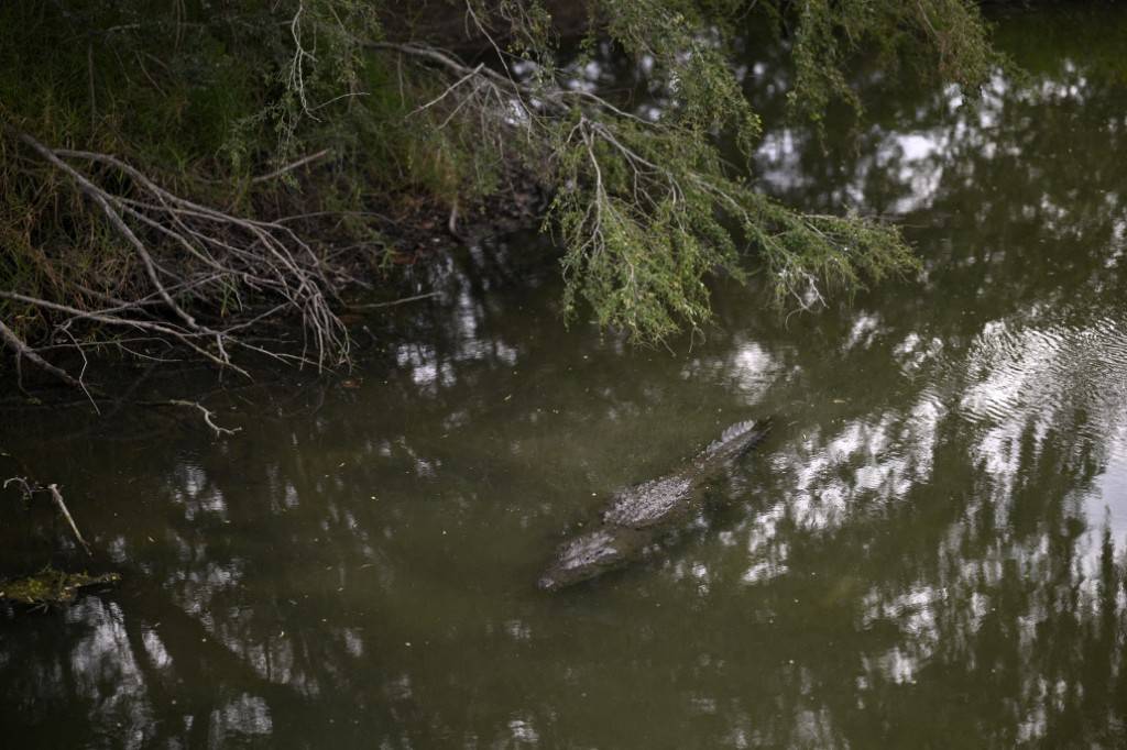Villagers found the head about 500 metres from the spot where the victim was last seen. - AFP file photo for illustration purpose only