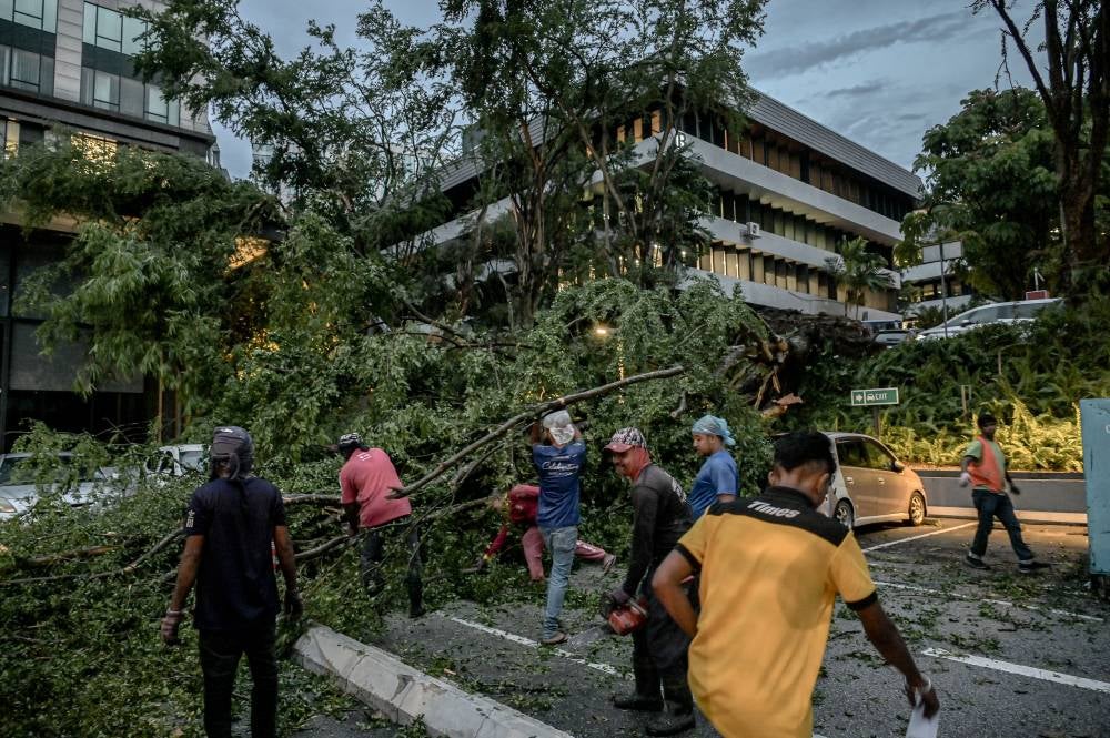 Kuala Lumpur City Hall (DBKL) personnel were seen cutting and removing fallen tree trunks after heavy rain hit Jalan Dungun, Bukit Damansara, yesterday. - Bernama photo