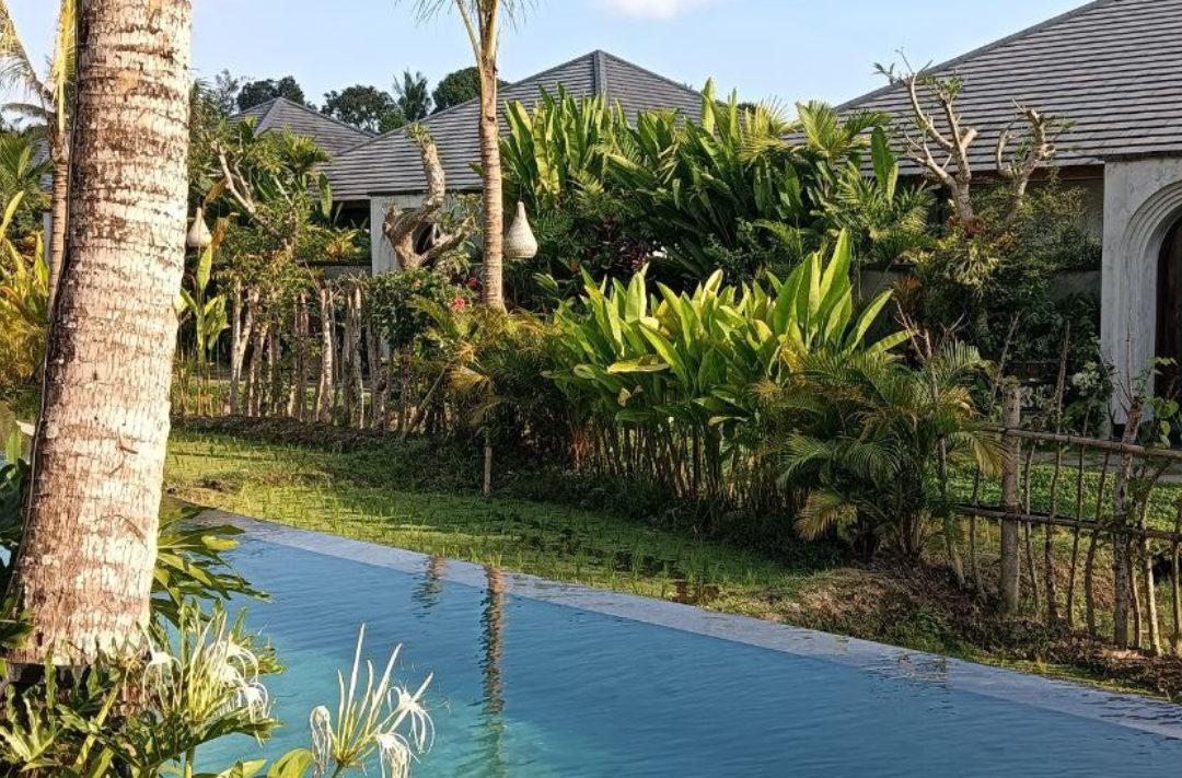 Photo: Wan Azfarozza Wan Athmar