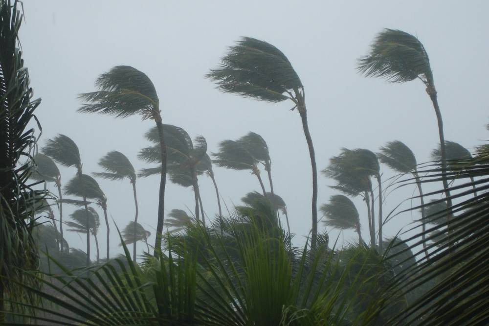 The Malaysian Meteorological Department (MetMalaysia) issued a warning for thunderstorms, heavy rain, and strong winds for several states, until noon today. Photo for illustrative purposes only - Canva