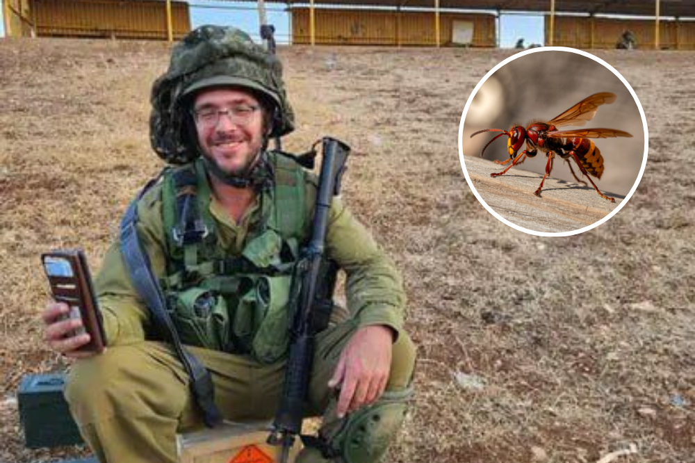 The victim, Levena Shalev, served as a driver for the mobility unit under the 228th Brigade, Nahal Reconnaissance Unit. – Agency