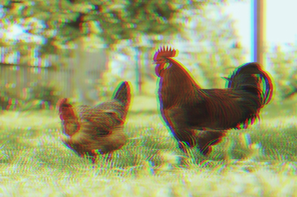 Photo for illustrative purposes only. - Photo: CANVA