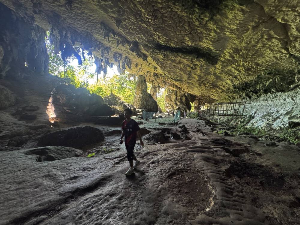 The damp atmosphere, the sharp scent of bat guano, and the chorus of swiftlets all add to the immersive experience of entering an ancient world. - Bernama photo