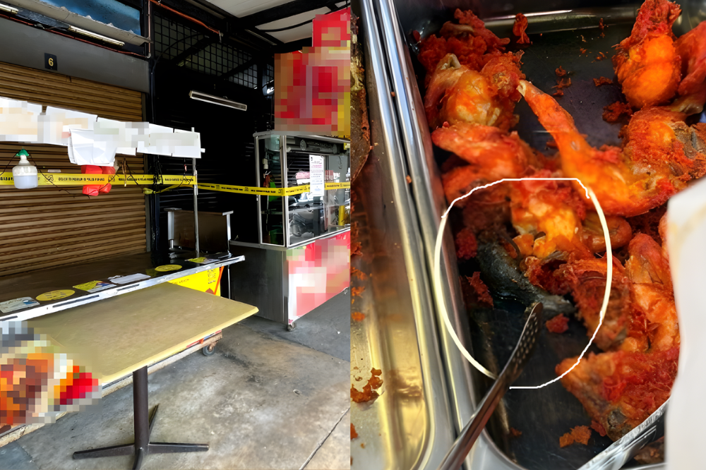 Food stalls in a Penang food court were issued notices ordered to close for two weeks after a nurse discovered a fried rat in a tray of chicken.- Photo
