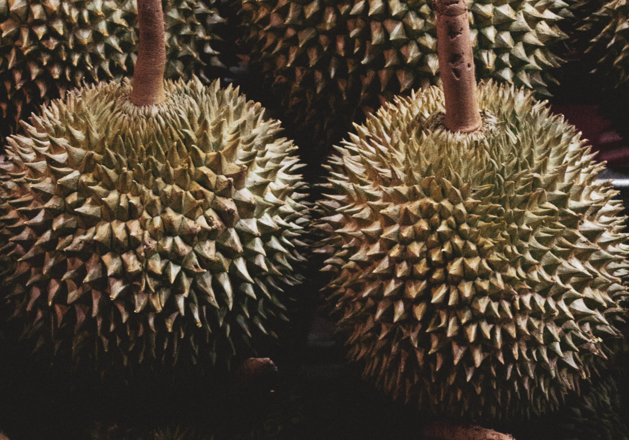 Photo for illustration purposes only.