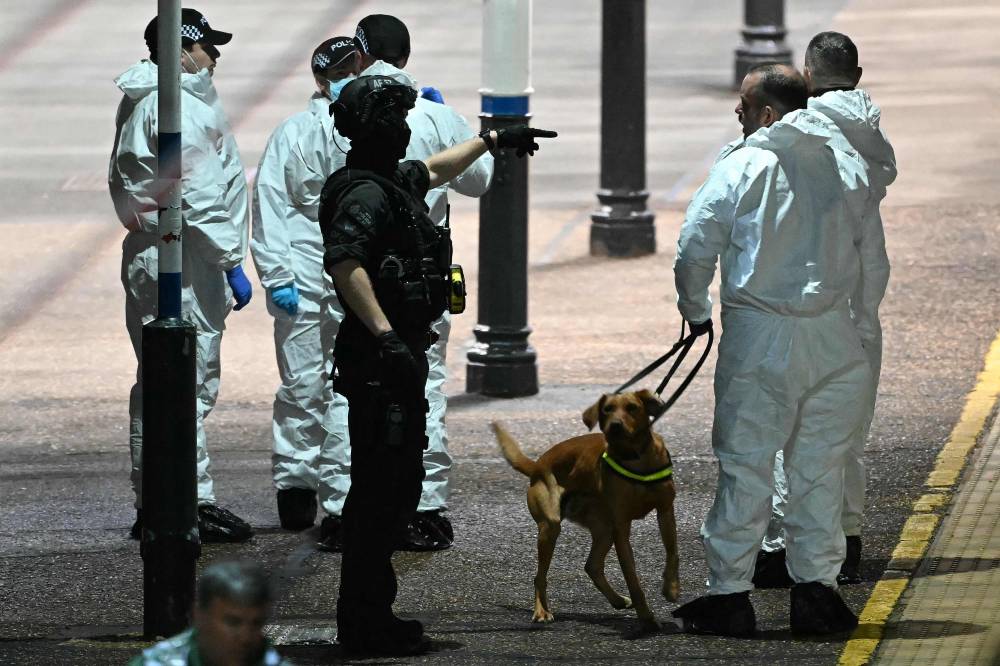 Police officers and a dog handler work on the platform alongside an LNER Azuma train at Huntingdon Station in Huntingdon, eastern England, on Nov 1, 2025, following a stabbing on a train. - (Photo by JUSTIN TALLIS / AFP)